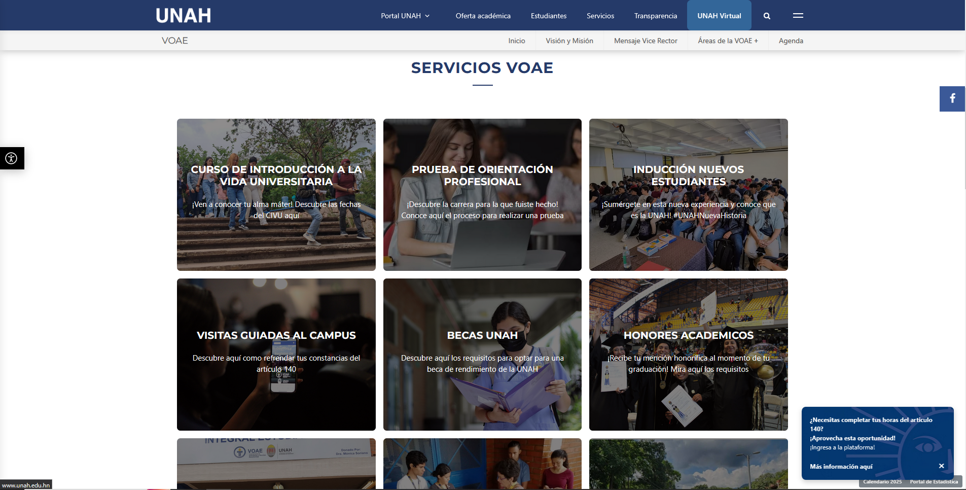 VOAE's landing page